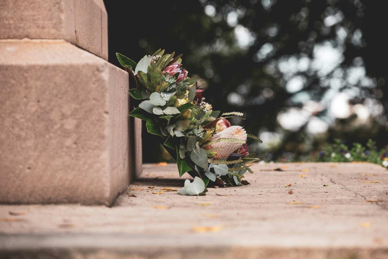 This Is Home: Remembering Tumbler Ridge After Tragedy